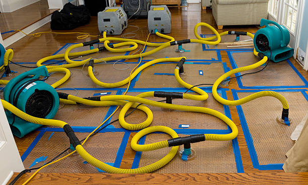 Professional Water Damage Repair technician working in Elmendorf, TX